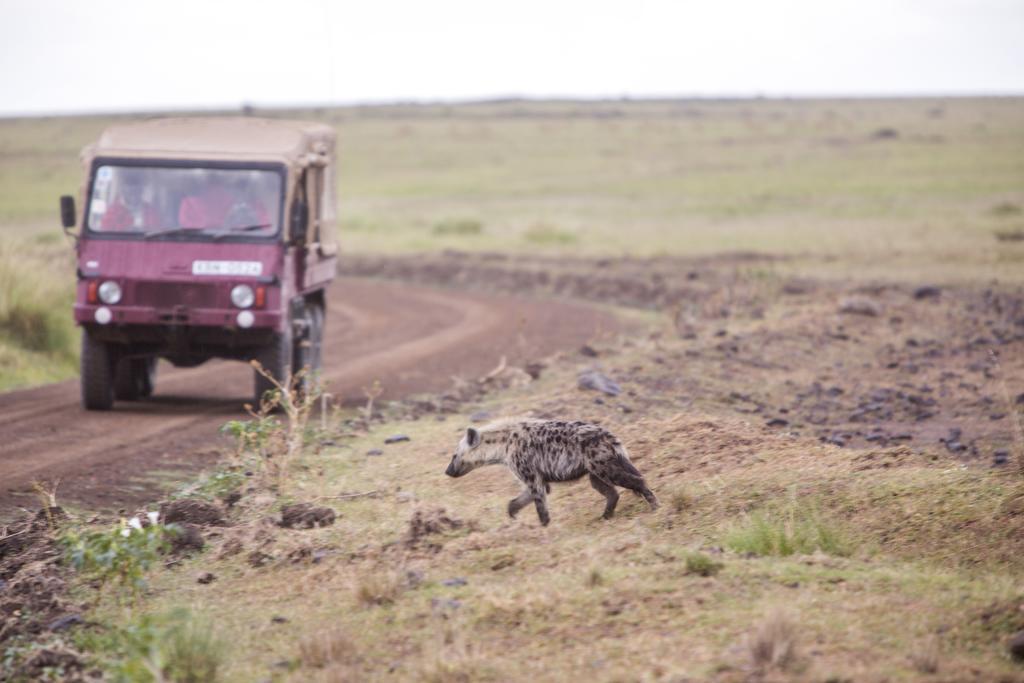 Mara Engai Lodge Lolgorien ภายนอก รูปภาพ