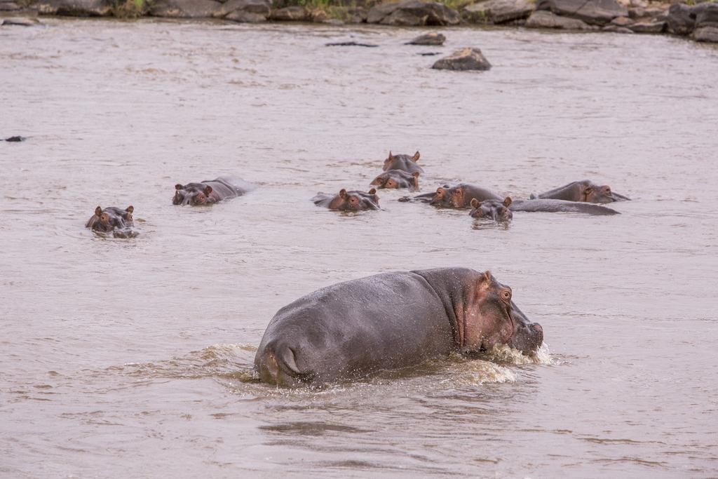 Mara Engai Lodge Lolgorien ภายนอก รูปภาพ