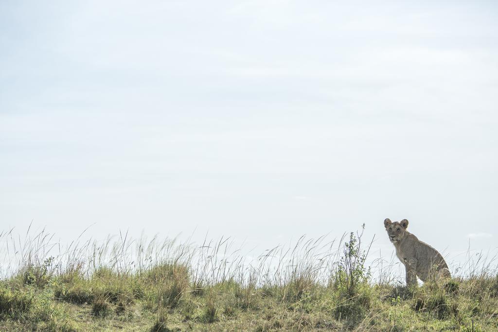 Mara Engai Lodge Lolgorien ภายนอก รูปภาพ