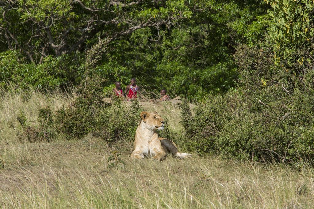 Mara Engai Lodge Lolgorien ภายนอก รูปภาพ