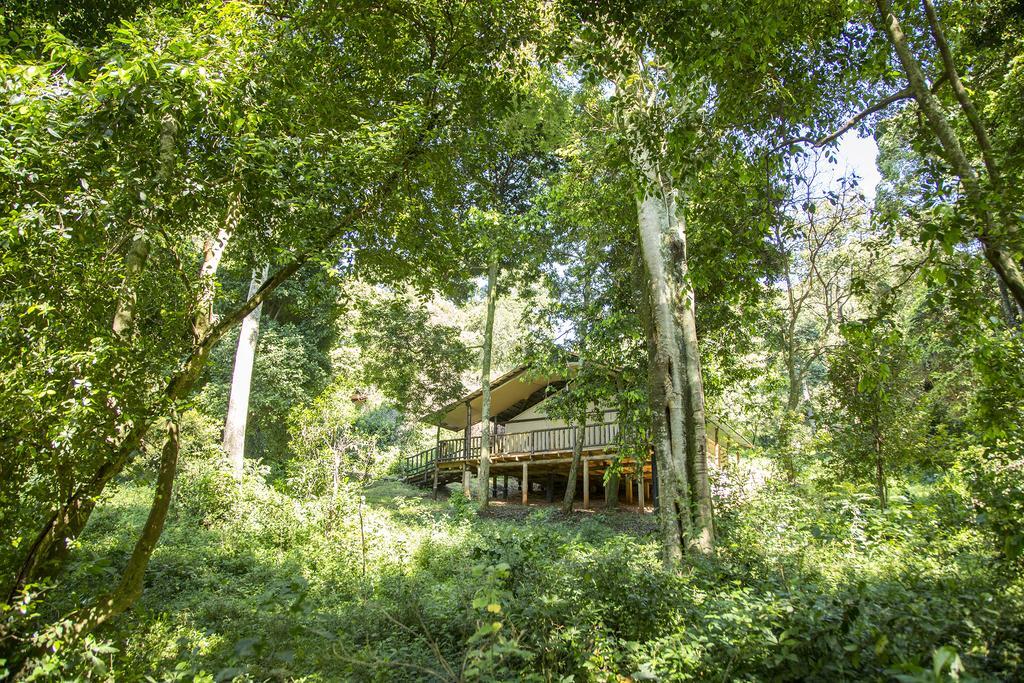 Mara Engai Lodge Lolgorien ภายนอก รูปภาพ